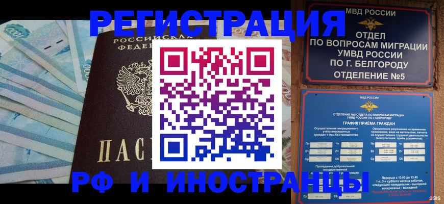 временная регистрация недорого в Курчатове